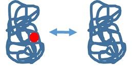 Protein regulation diagram