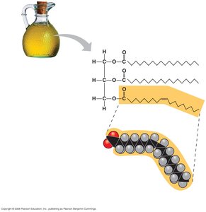 Unsaturated fat structure