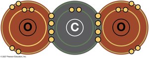 Carbon dioxide structure