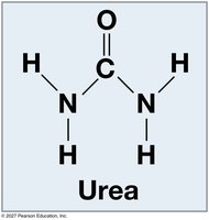 Urea structure