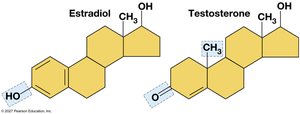 Carbon chains