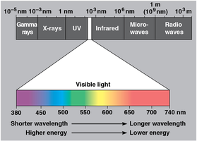 Electromagnetic spectrum and visible light