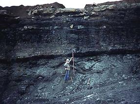 Coal seam with geologist