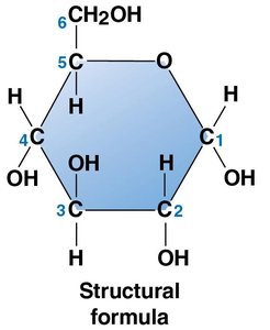Structural formula of glucose
