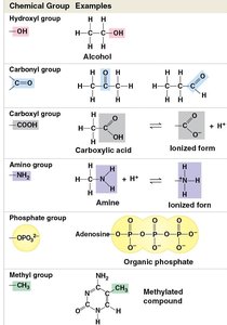 Table of functional groups and examples