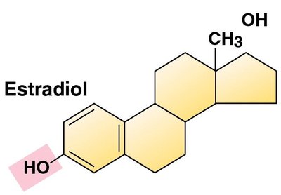 Structure of estradiol