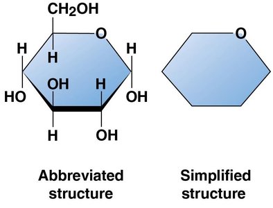 Ring structures of monosaccharides