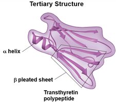 Tertiary structure of a protein