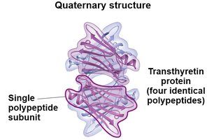Quaternary structure of a protein