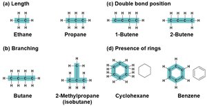 Examples of carbon chain variations: length, branching, double bond position, rings