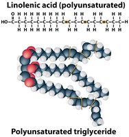 Polyunsaturated fat structure