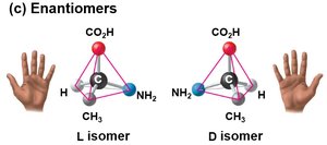 Enantiomers: L and D isomers