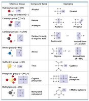 Table of functional groups, their structures, and examples