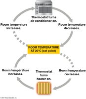 Homeostasis feedback control (thermostat analogy)