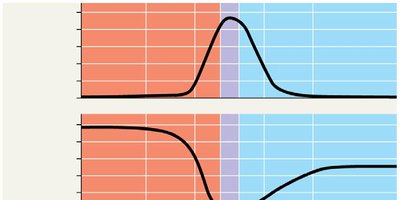 Graphs of blood pressure, velocity, and area across vessels