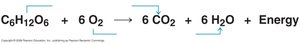 Diagram showing oxidation and reduction