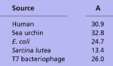 Table showing variation in adenine content among species