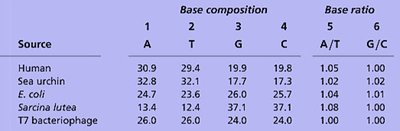 Table showing base composition and ratios in different species