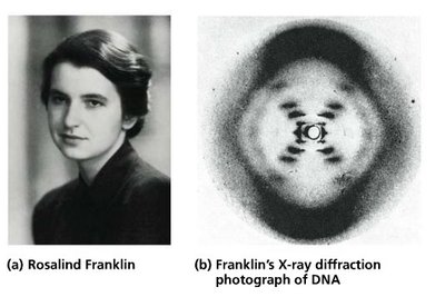Rosalind Franklin and X-ray diffraction photograph of DNA