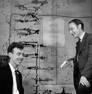 Model building of DNA structure