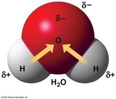 Polarity of water molecule