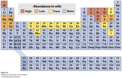 Periodic table showing electron shells and valence electrons