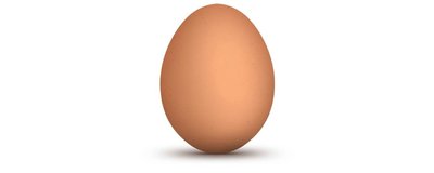 Egg as a model for biomolecular composition