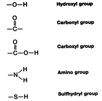 Phosphate group structure