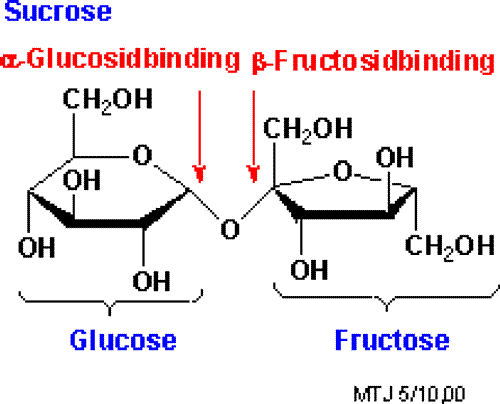 Structure of sucrose showing glucose and fructose units