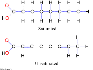 Saturated and unsaturated fatty acid structures