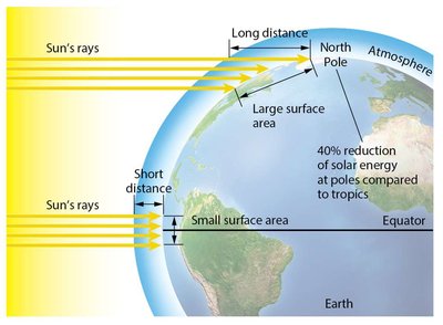 Sparse flora on acidic soil