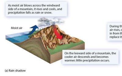 Three-cell model of global circulation