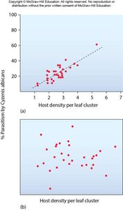 Parasitism and oak winter moth abundance