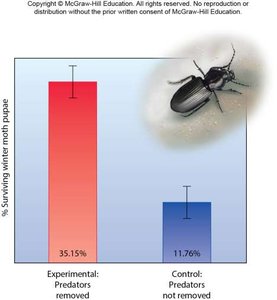 Results of predator removal experiment