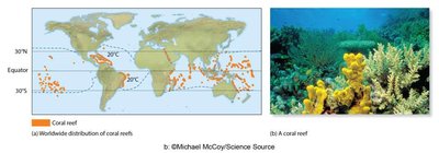 Effect of temperature on distribution of coral reefs