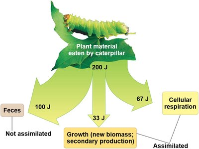 Production efficiency diagram