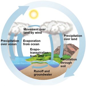Water cycle diagram