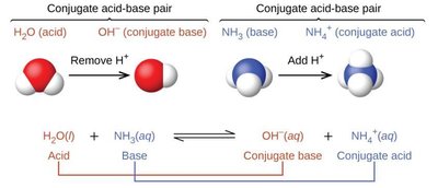 Conjugate acid-base pairs