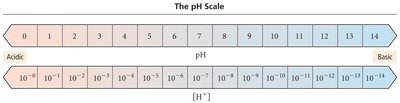 pH scale diagram