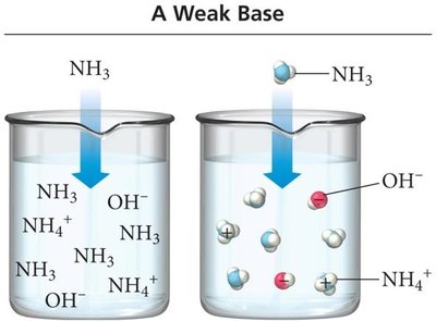 Weak base ionization