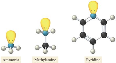 Structure of amines