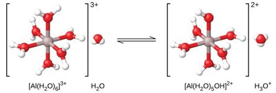 Hydrated metal cation equilibrium