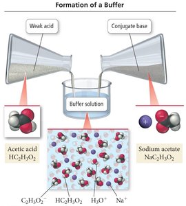 Formation of a buffer solution