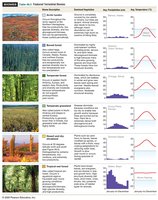 General Biology Ecology Study Guide: Key Concepts & Biomes | Notes