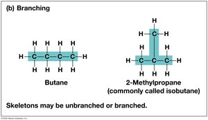 Branching in carbon skeletons