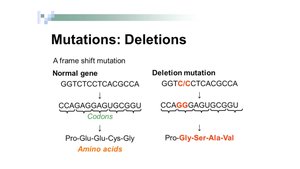 Deletion mutation example
