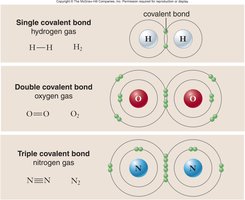 Single, double, and triple covalent bonds