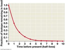 Fraction of isotope remaining in fossil over time