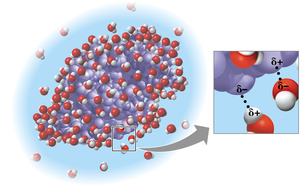 Water-soluble protein with hydration shell