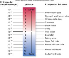 pH scale and examples of solutions